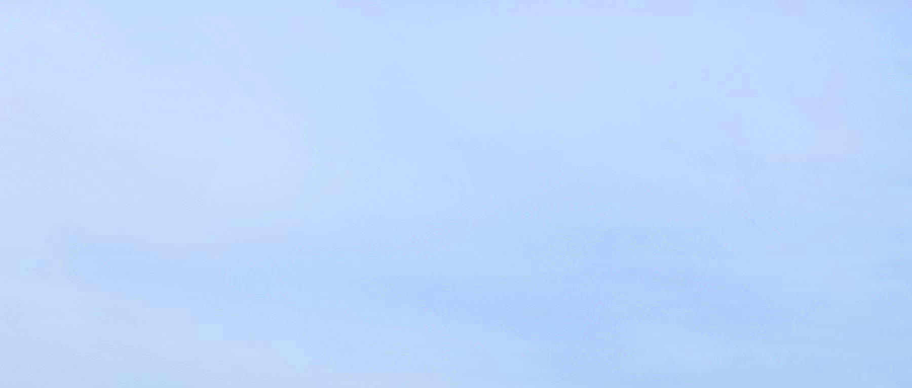 Apprécier la contemplation des cerisiers en fleurs, même seul(e) ~